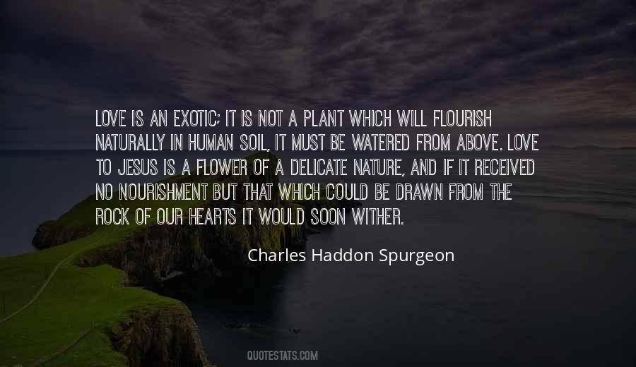 Love And Flower Quotes #519193