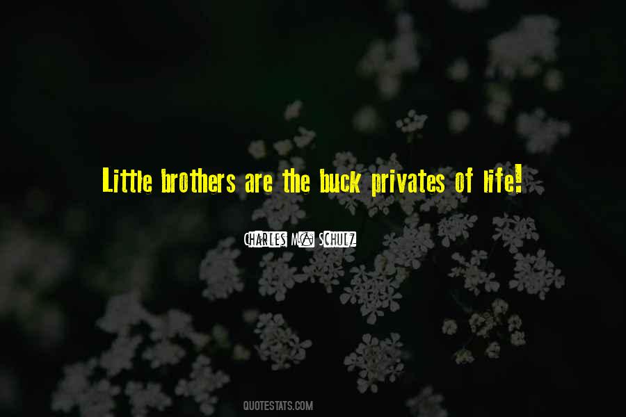 Quotes About Little Brothers #1582135