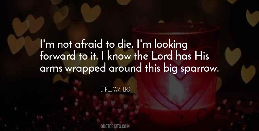 Quotes About Not Afraid To Die #1104928