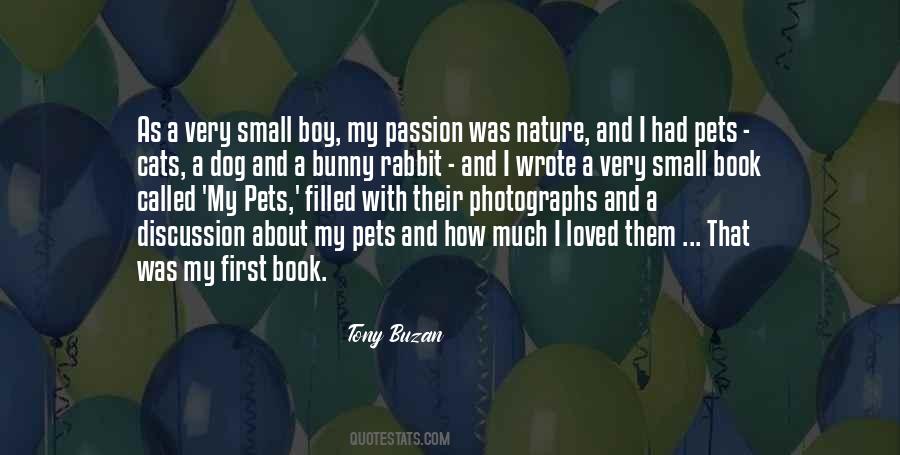 Quotes About A Boy Book #166619