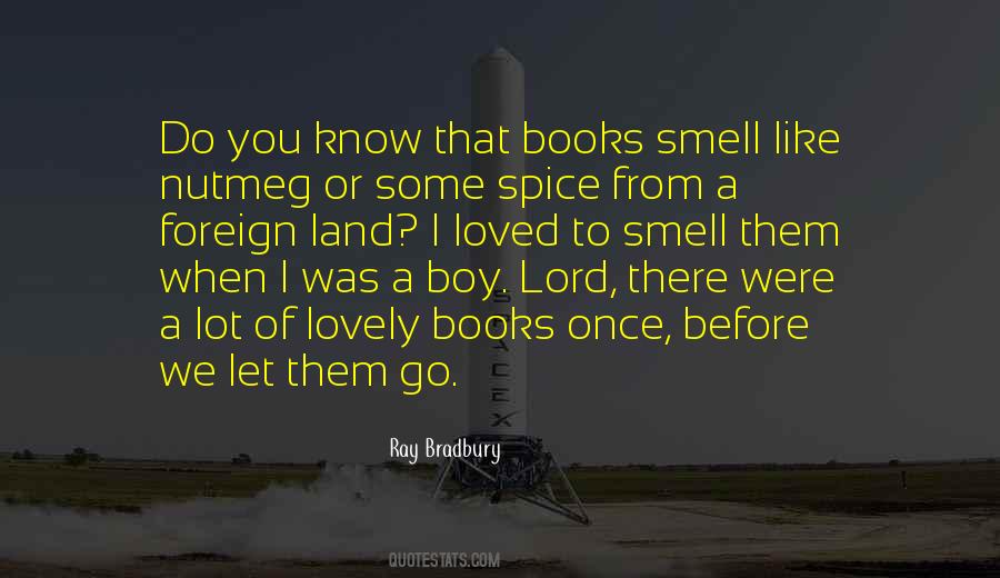 Quotes About A Boy Book #207770