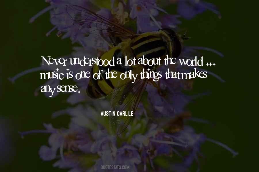 Never Understood Quotes #1318884
