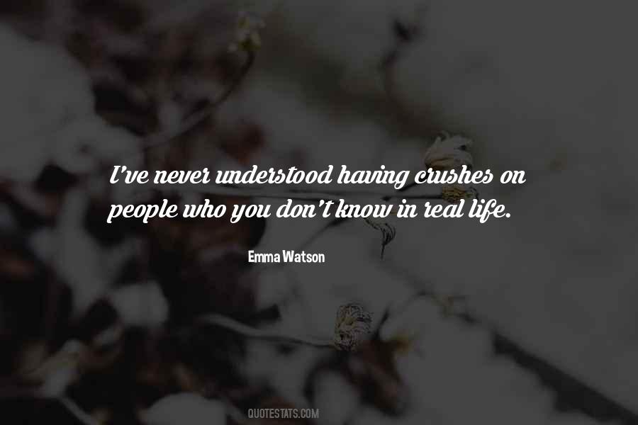 Never Understood Quotes #1333024