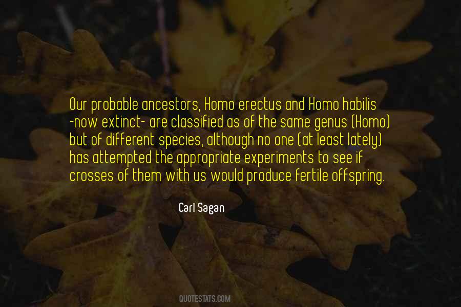 Homo Habilis Quotes #1846553