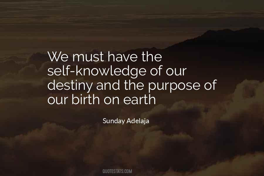 Quotes About Our Purpose On Earth #1796735
