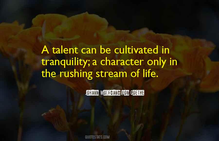 Quotes About Rushing Life #1680847