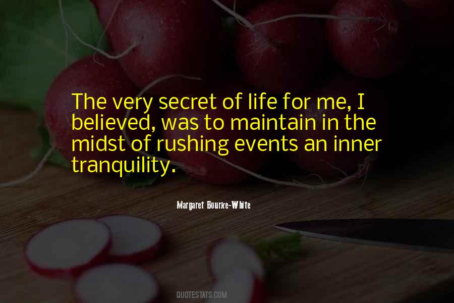 Quotes About Rushing Life #598095