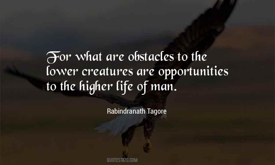 Quotes About Obstacles And Opportunities #1267397