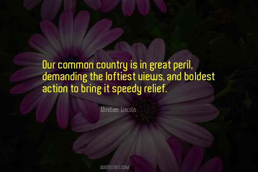 Quotes About Our Great Country #1002042
