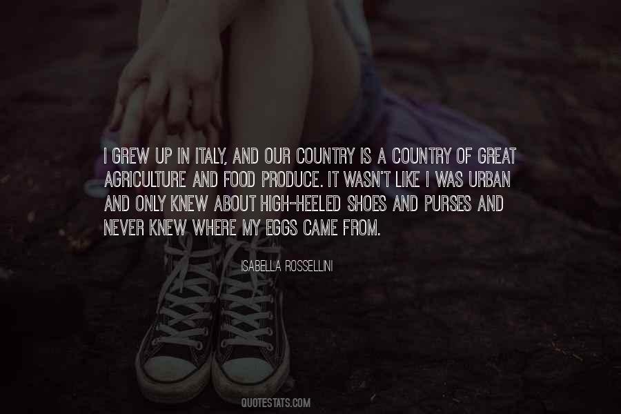 Quotes About Our Great Country #797087