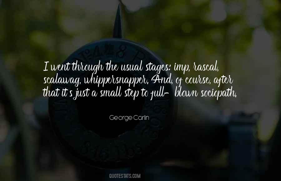 Just The Usual Quotes #1675635