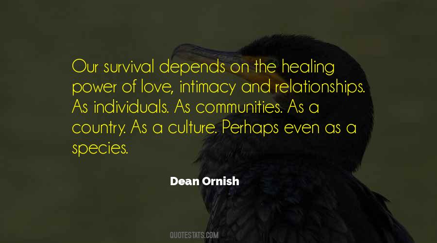 Quotes About The Healing Power Of Love #181441