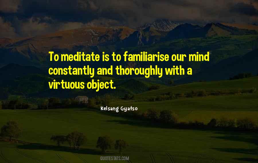 Non Virtuous Quotes #8282