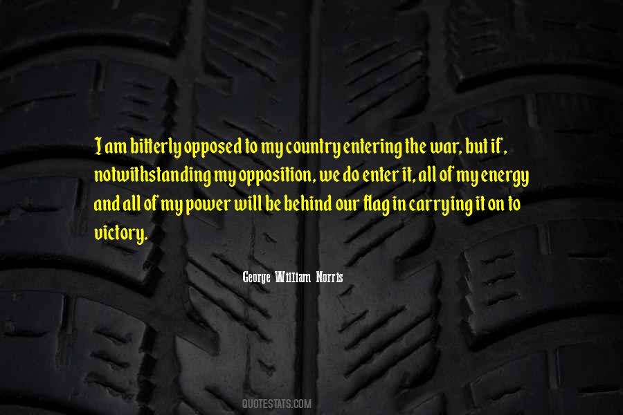 Quotes About Our Flag #1698769