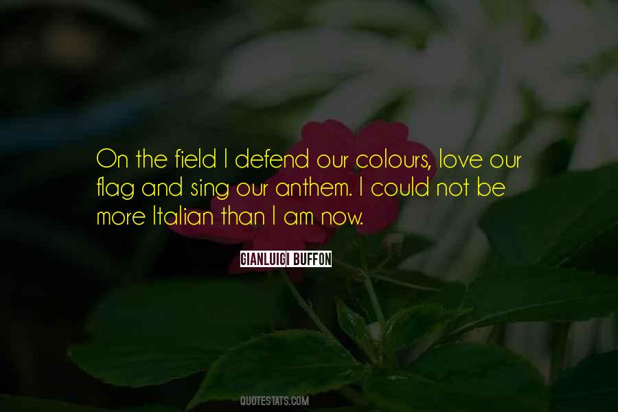 Quotes About Our Flag #799173