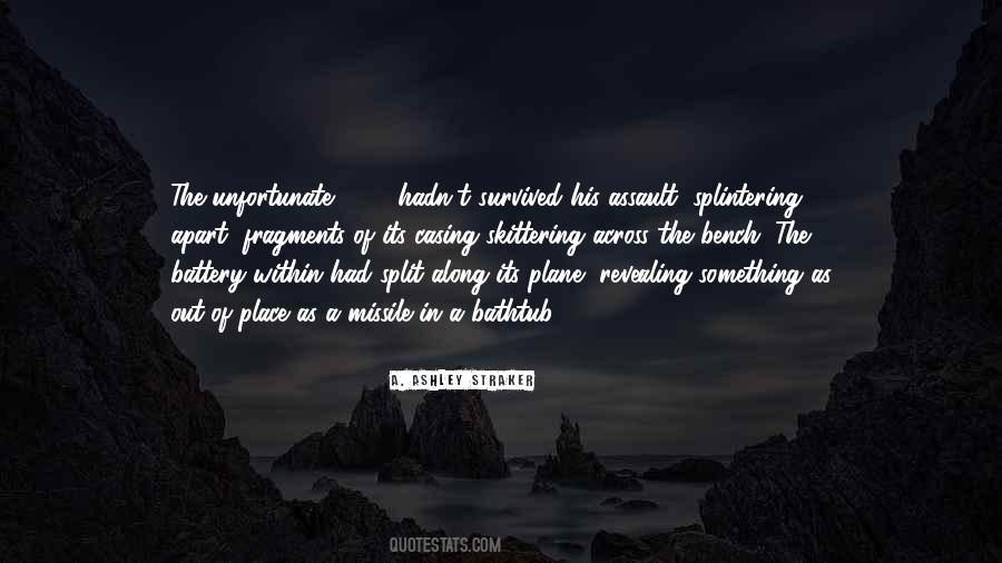 Quotes About Having Survived #53975