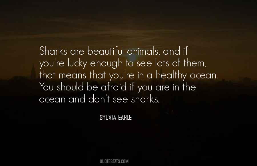 Quotes About Ocean Animals #847039