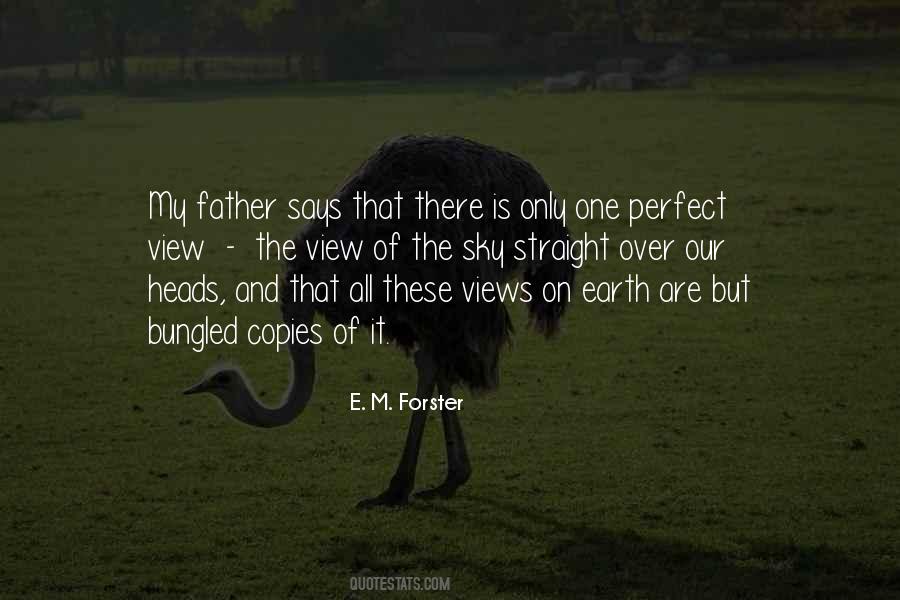 Quotes About The Perfect Father #487737