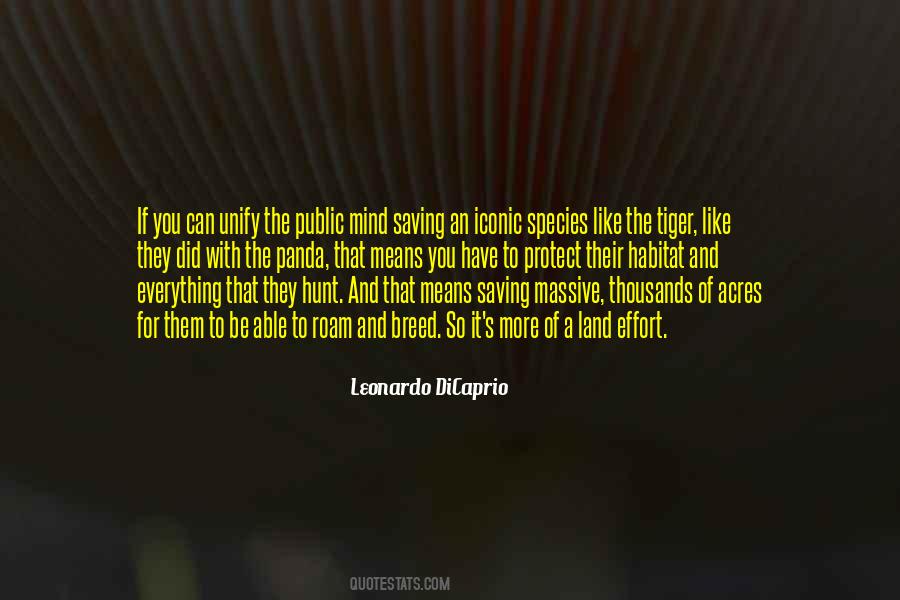 Be Iconic Quotes #919337
