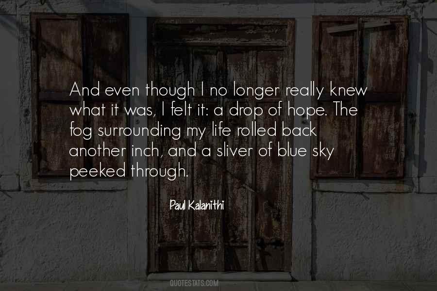 Fog And Life Quotes #137285