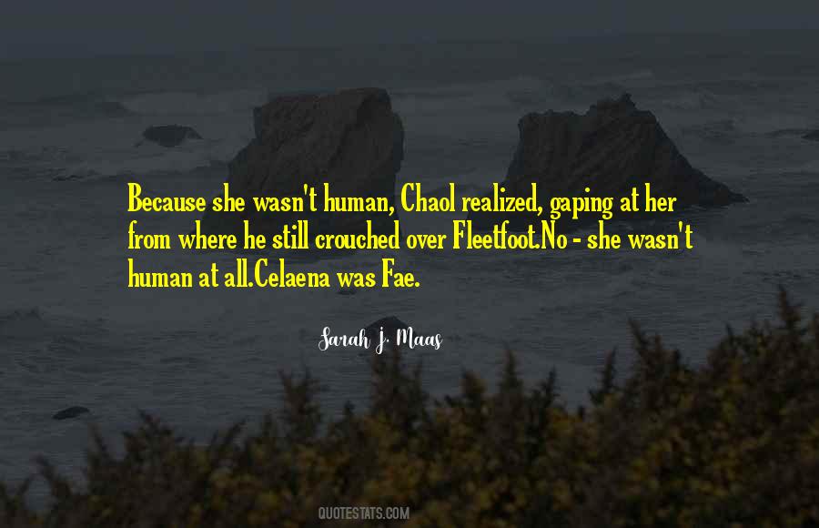 Quotes About Chaol Westfall #314602