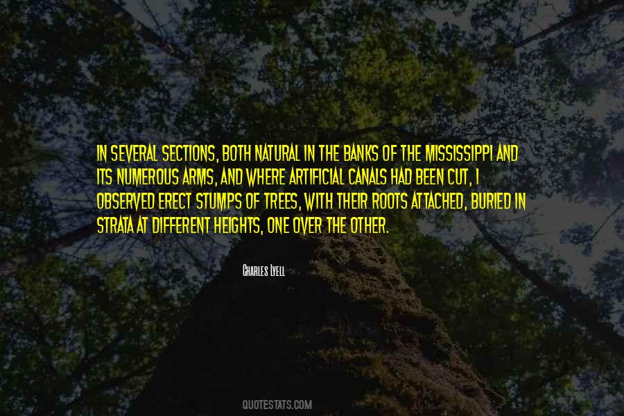 Quotes About Different Heights #1077246