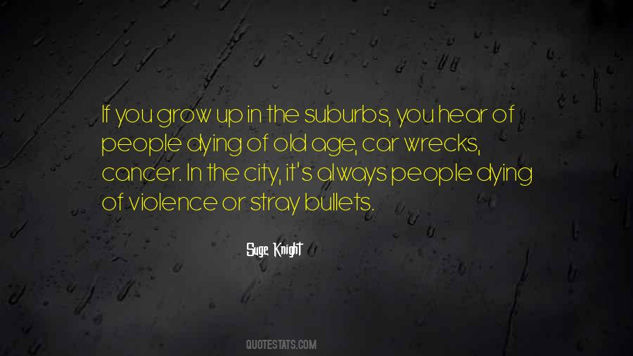 The Suburbs Quotes #507032