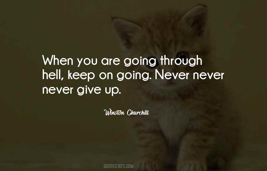 Never Never Give Up Quotes #1353037