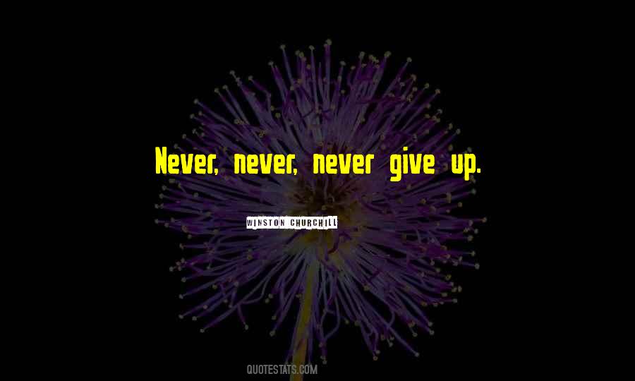 Never Never Give Up Quotes #966912