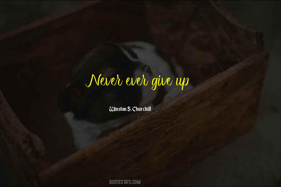 Never Never Give Up Quotes #98488