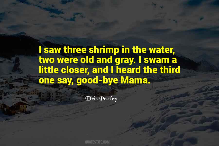 Quotes About Shrimp #1119088