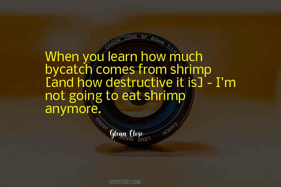 Quotes About Shrimp #1248338