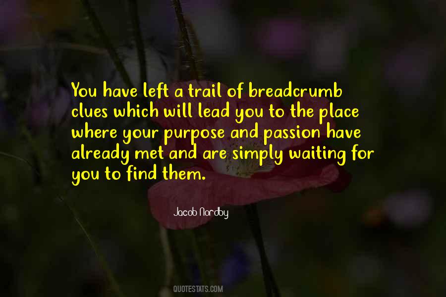 Quotes About Finding Your Passion #909532