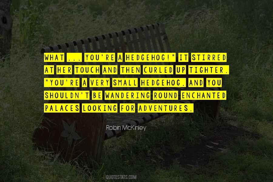 Small Adventures Quotes #1441717
