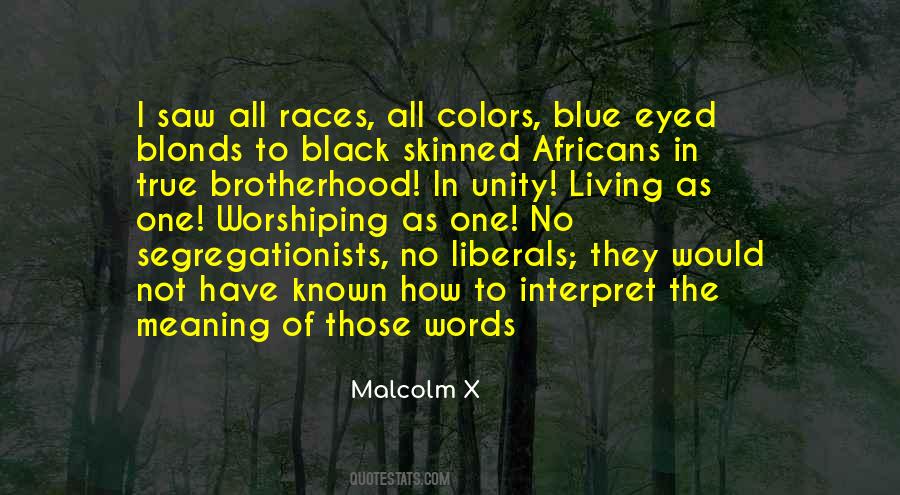 Black Unity Quotes #575386