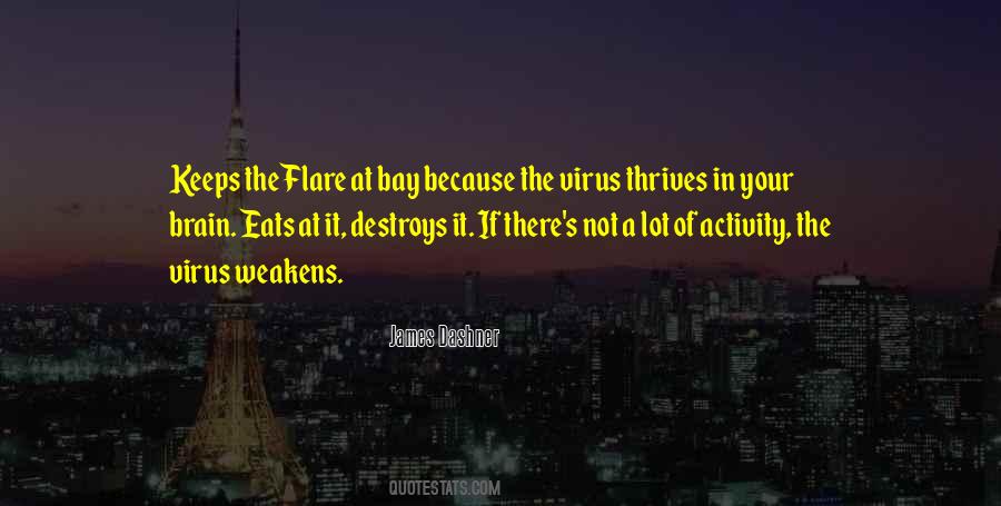 Quotes About Flare #682720
