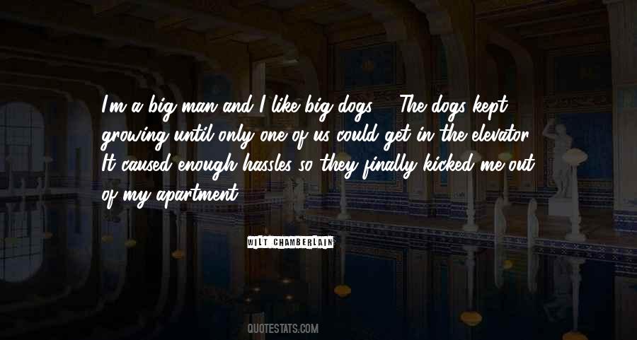 Quotes About The Friendship Of A Dog #1671849
