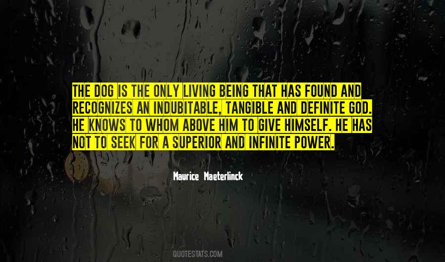 Quotes About The Friendship Of A Dog #225388