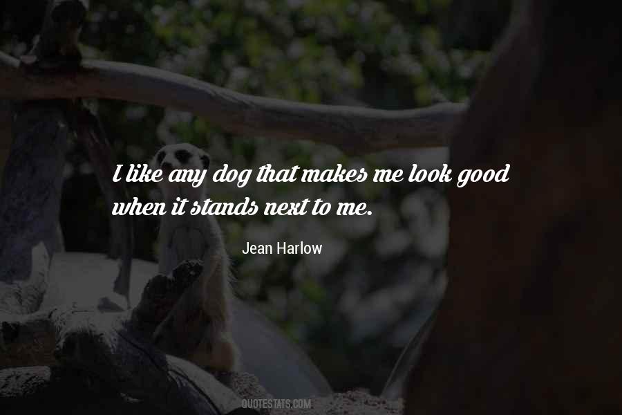 Quotes About The Friendship Of A Dog #25923