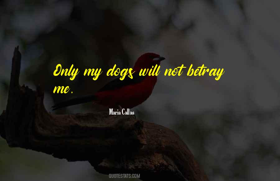 Quotes About The Friendship Of A Dog #569632