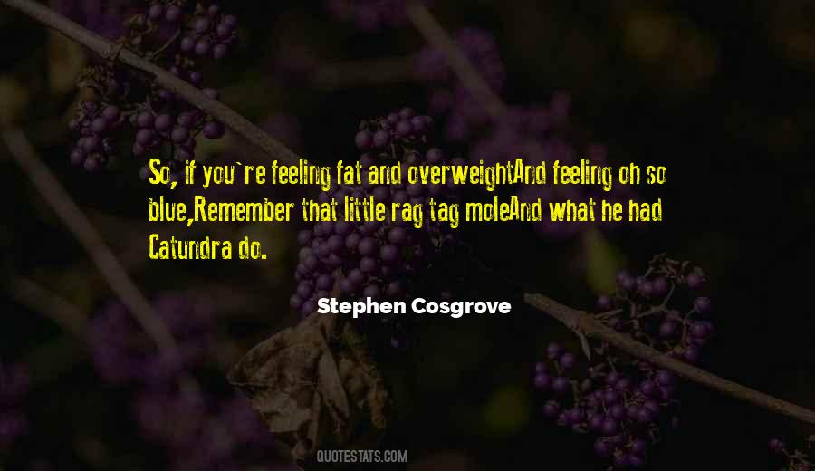 Quotes About Overweight #1860444
