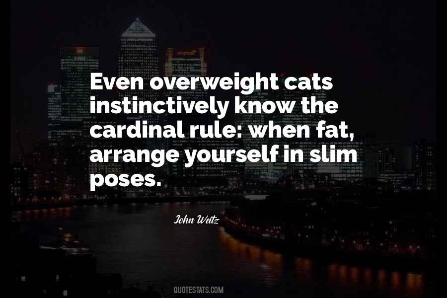 Quotes About Overweight #474565