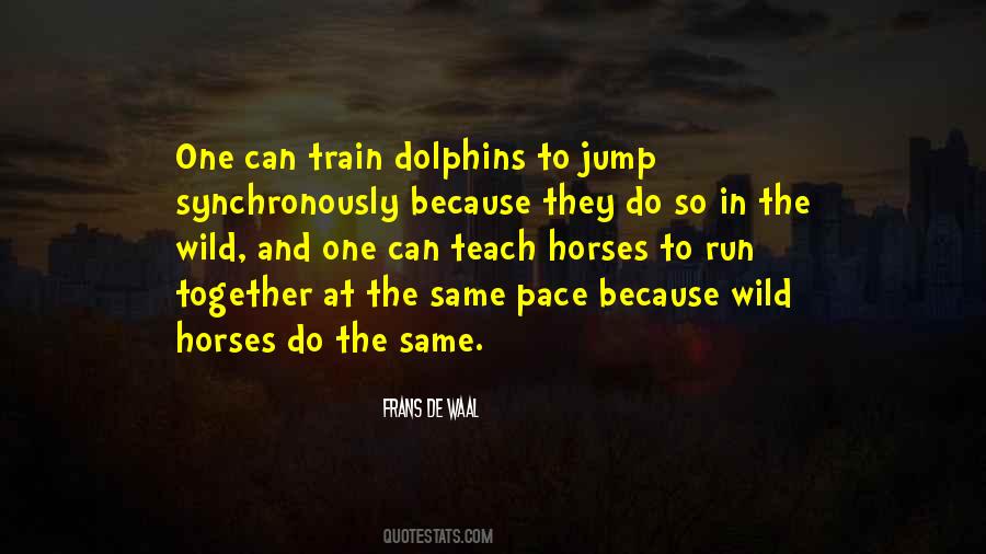 Quotes About Wild Horses #1028078