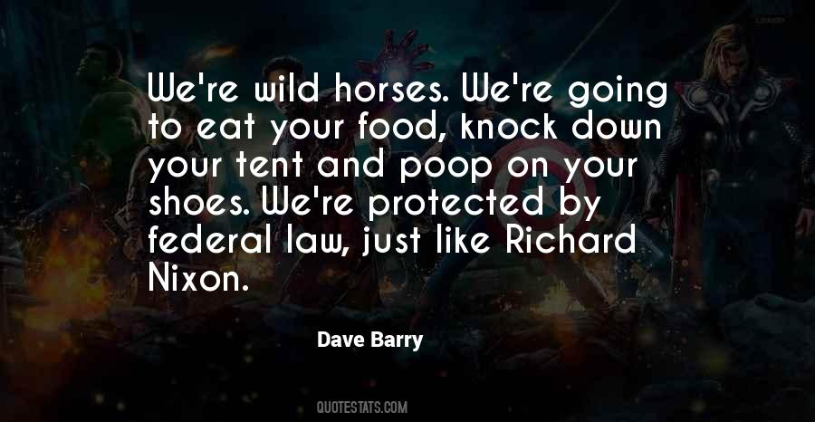 Quotes About Wild Horses #130567