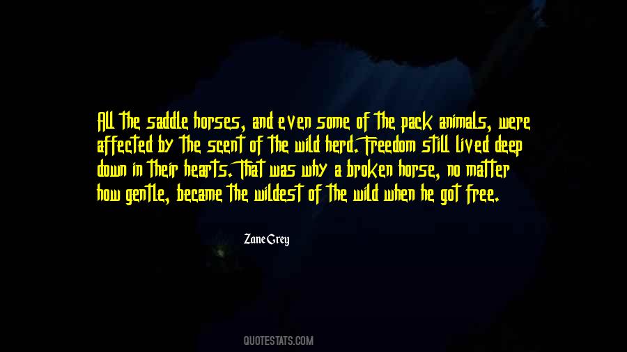 Quotes About Wild Horses #1704408
