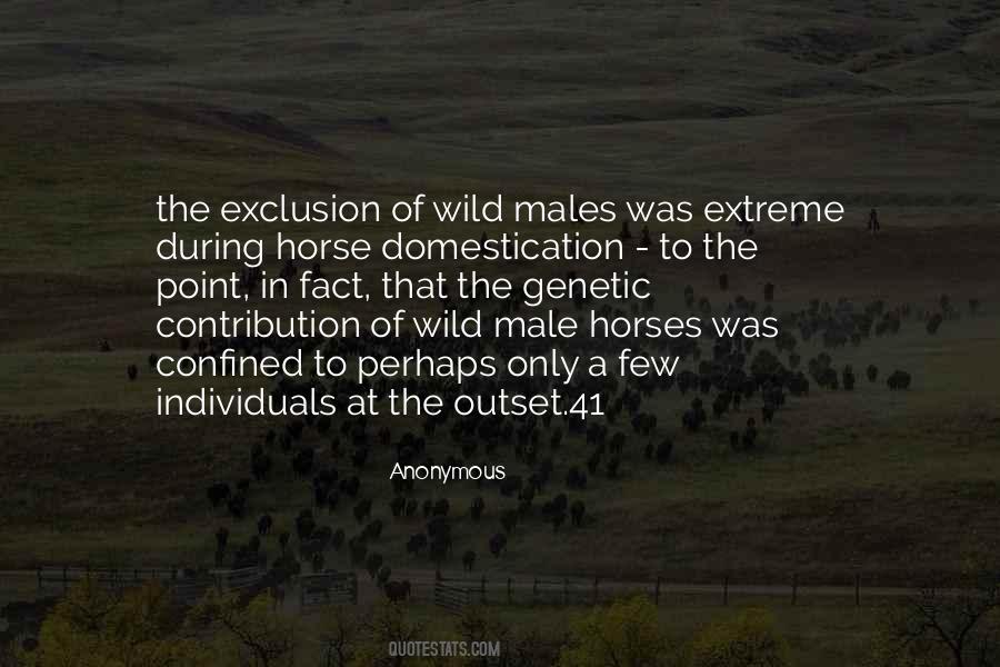 Quotes About Wild Horses #753531