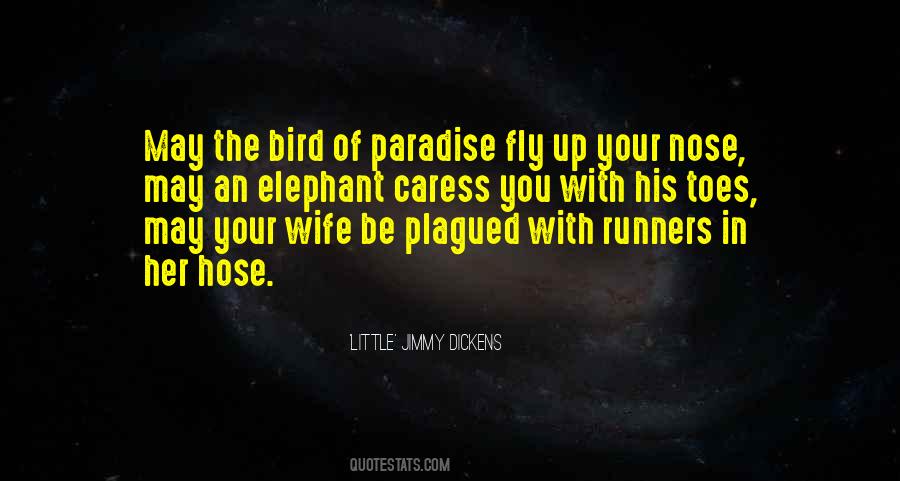 Quotes About Runners #1480568
