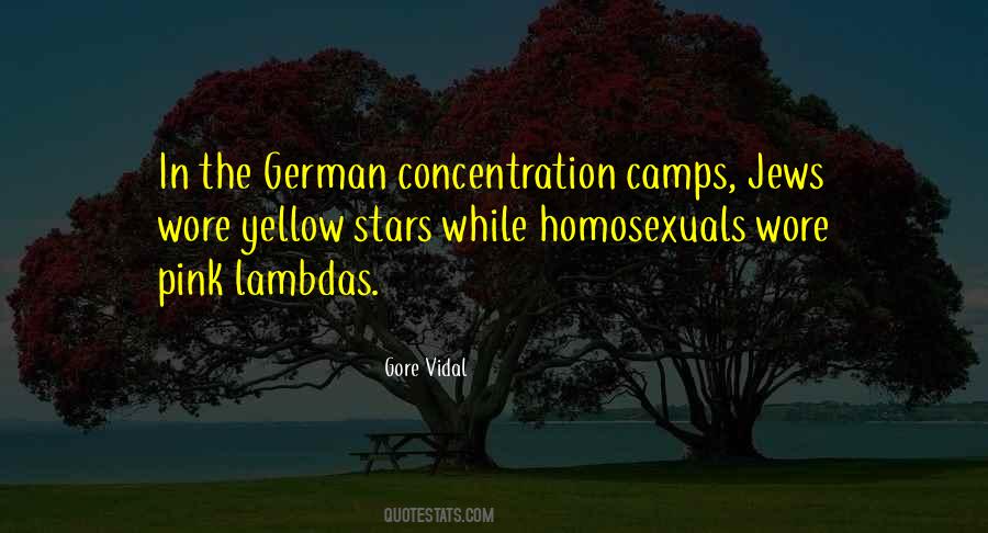 Quotes About Concentration Camps #640221