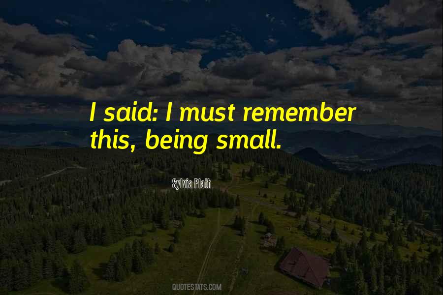 Quotes About Being Small #1308479