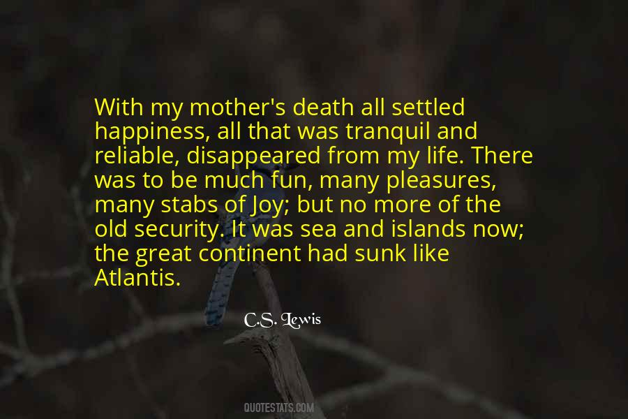 Quotes About My Mother's #1413543